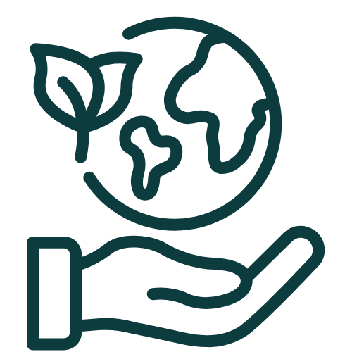 Dust-free Cleaners - Mint Cleaning Co South West